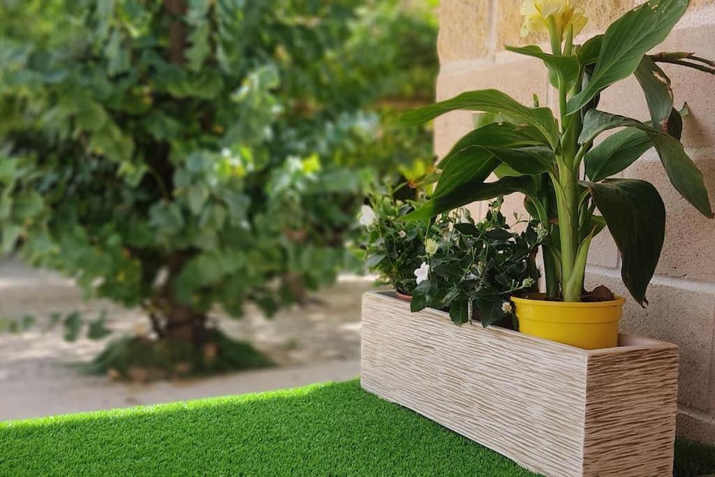 Finca El Pilar مدريديخوس المظهر الخارجي الصورة
