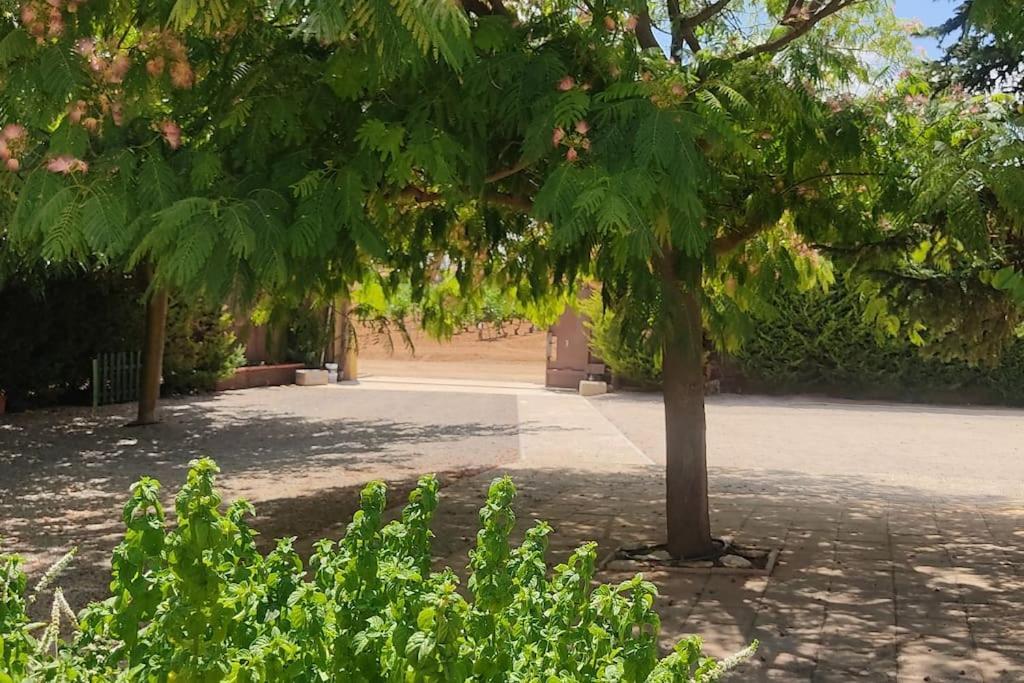 Finca El Pilar مدريديخوس المظهر الخارجي الصورة